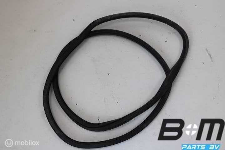 Afdicht rubber schuifdeur links VW Caddy 2K 2K0843791B, Gebruikt