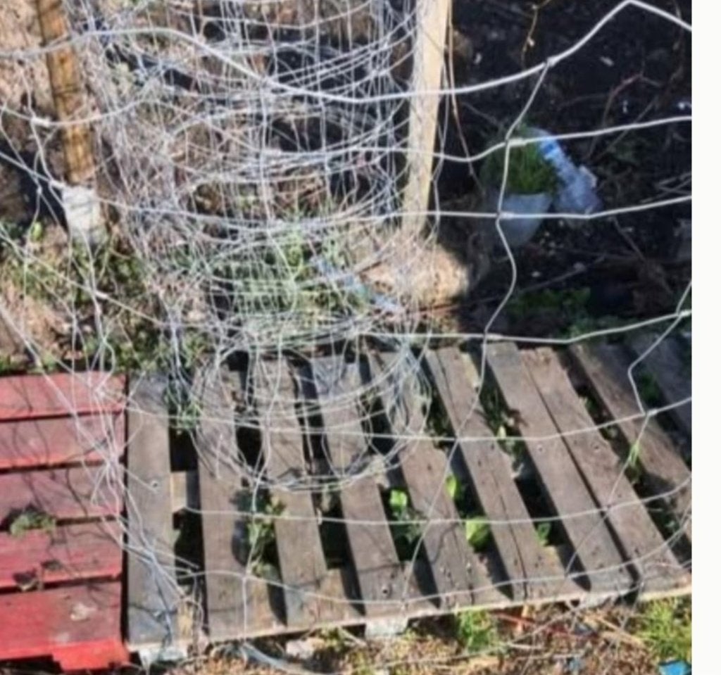 Fil de clôture 1 m hauteur x +-12 m pour 25euro, Enlèvement
