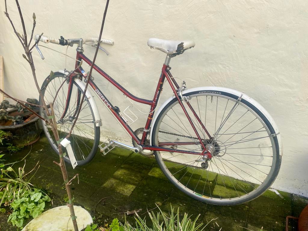 Vintage Bertin Koersfiets, 55 à 59 cm, Enlèvement, Années 60 ou plus récent