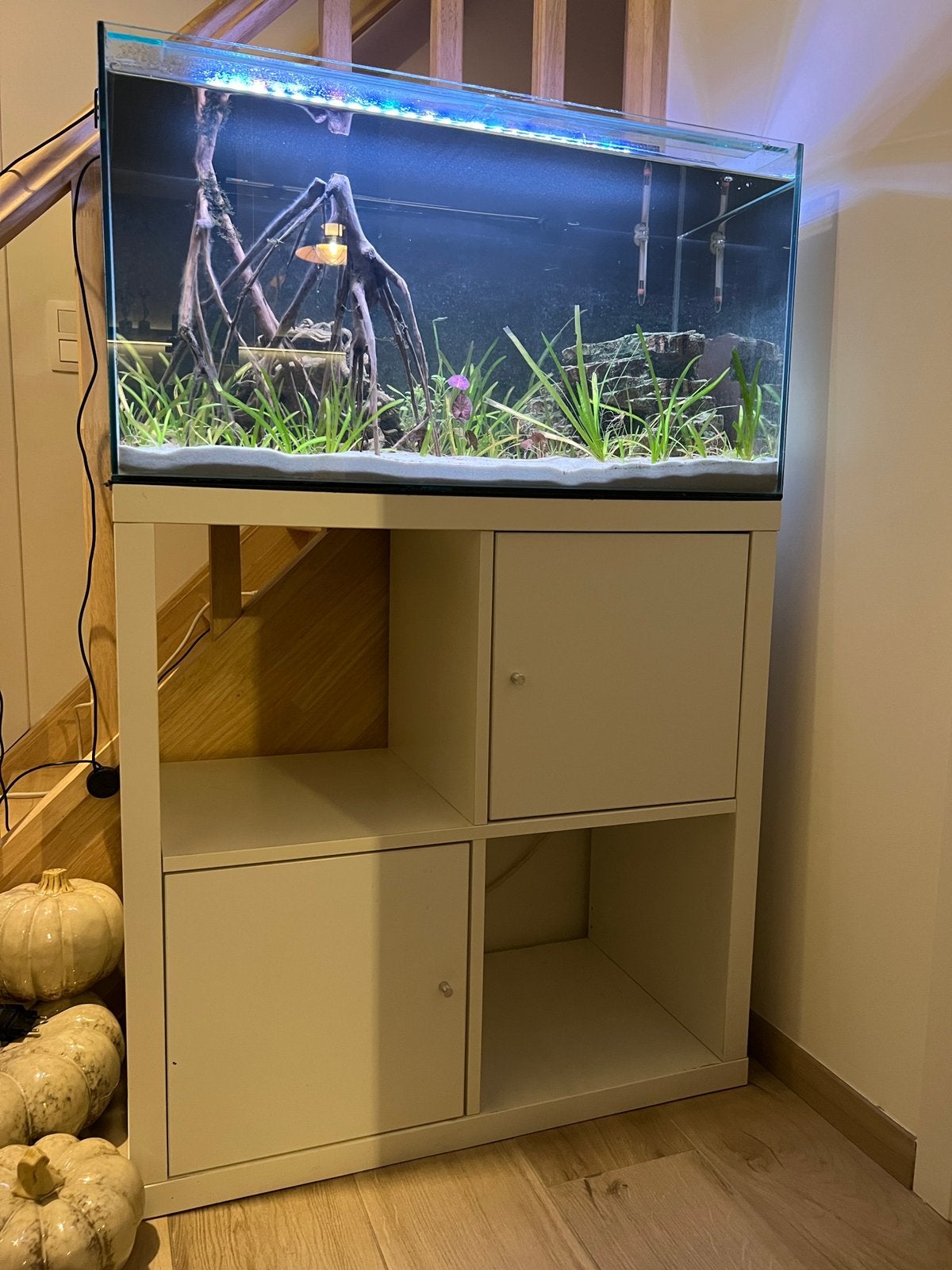 Op maat gemaakt aquarium 120l + kast, Enlèvement, Couvercle inclus, Utilisé, Aquarium d'eau douce rempli