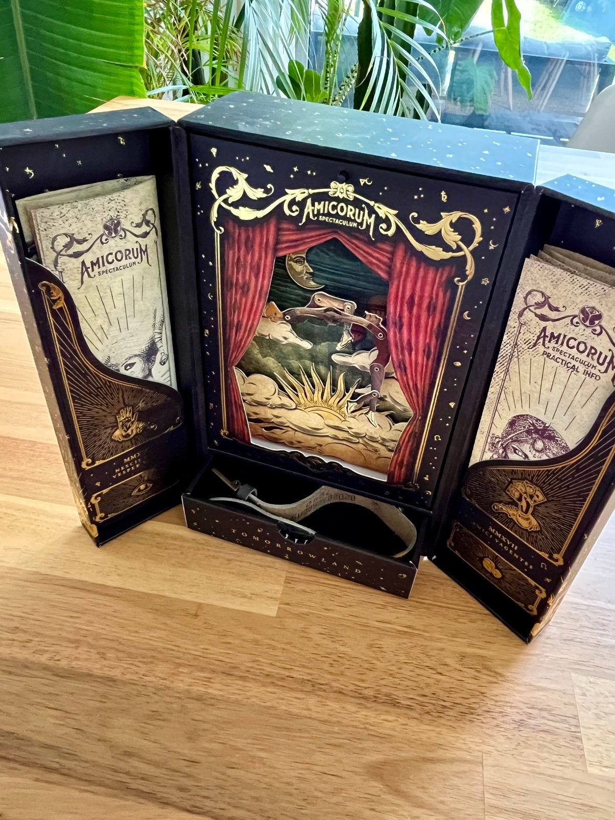 Tomorrowland bracelet box, Verzamelen, Ophalen of Verzenden, Zo goed als nieuw, Overige typen
