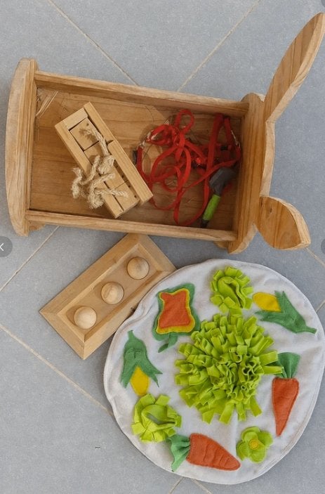 Accessoireset voor dwergkonijnen, Ophalen of Verzenden, Gebruikt, Speelgoed