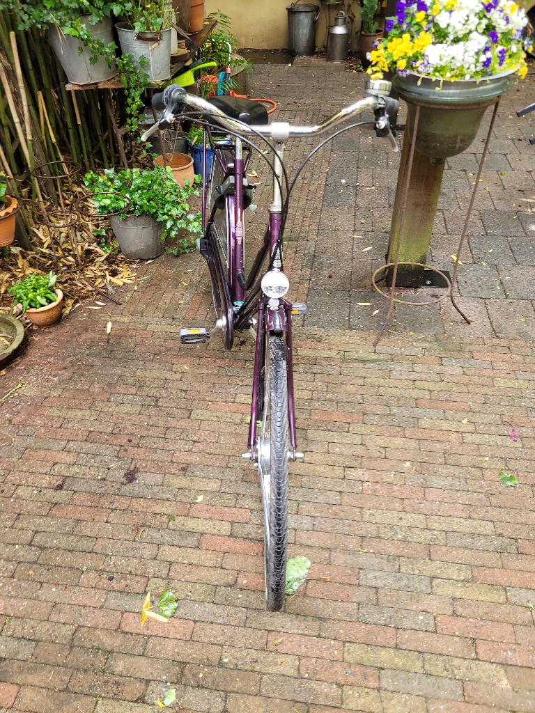 Damesfiets Gazelle Primeur, Fietsen en Brommers, Ophalen, Gazelle