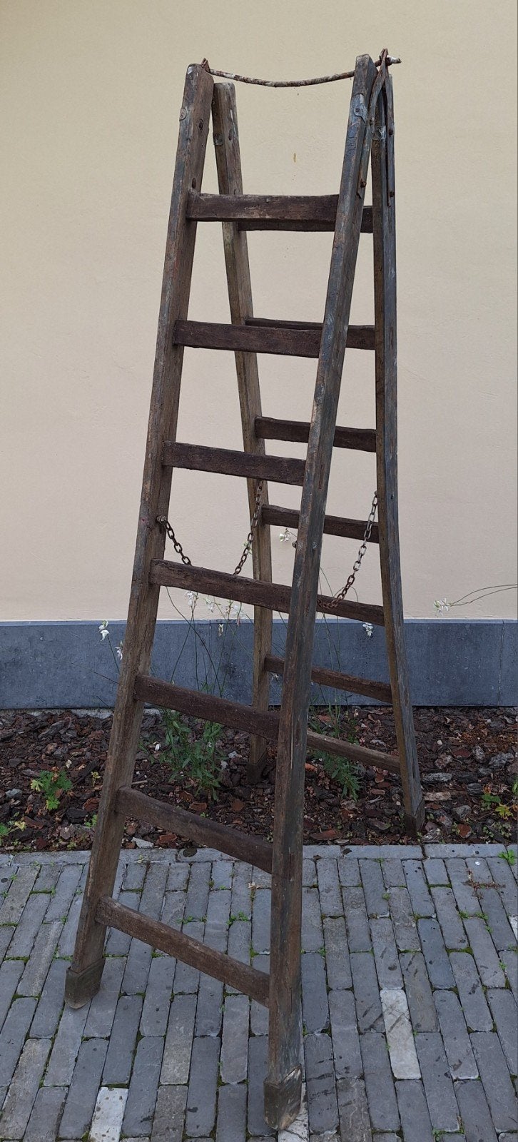 échelle 175 cm, Enlèvement, Échelle