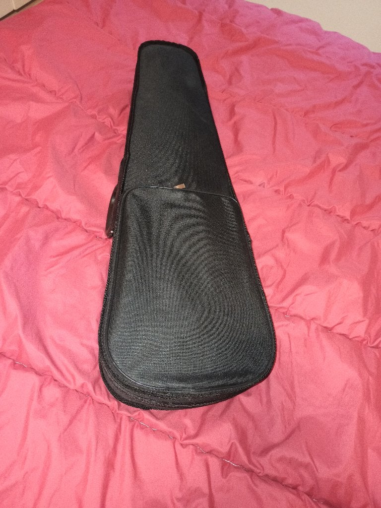 Boîte à violon, Musique & Instruments, Enlèvement, Comme neuf, Violon ou Alto