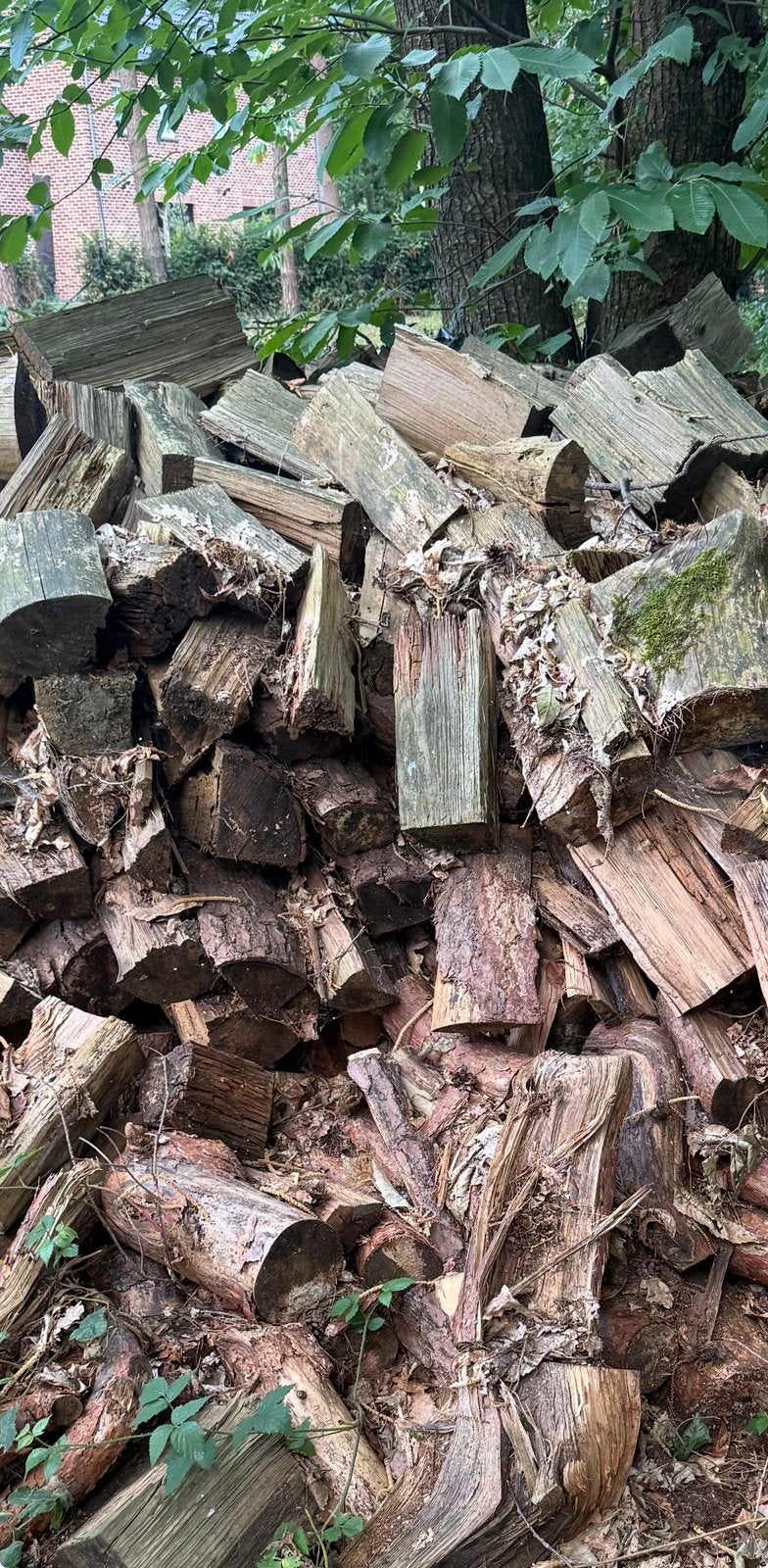Bois de resineux a donner, 3 à 6 m³, Enlèvement, Autres essences de bois, Bûches