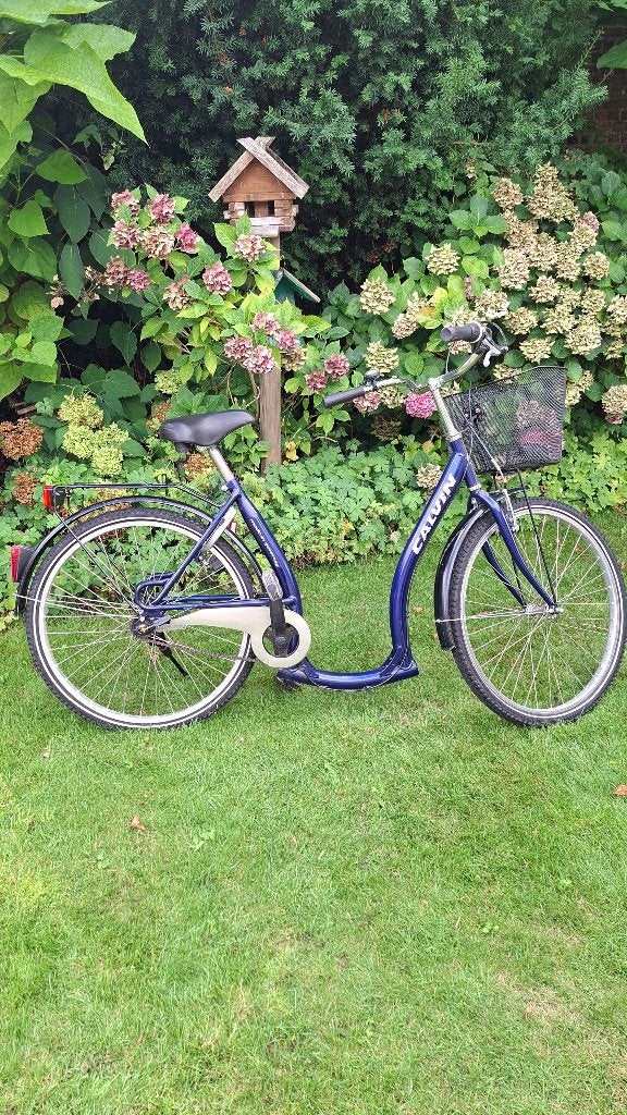 fiets lage instap kleine maat, Accès (extra) bas, Moins de 47 cm, Frein à rétropédalage, Enlèvement