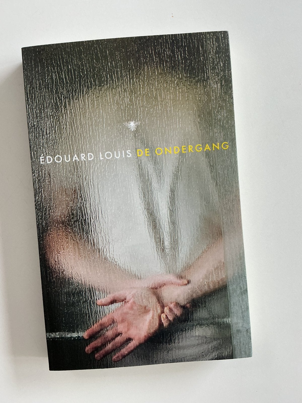 Édouard Louis - De ondergang, Ophalen of Verzenden, Édouard Louis