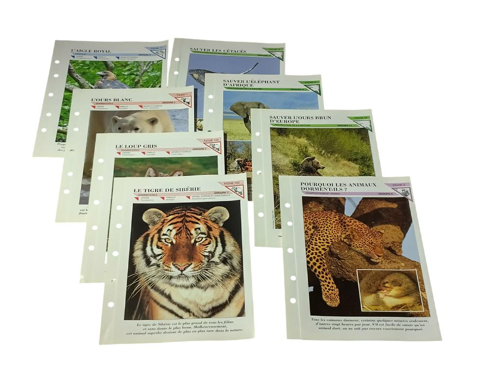 8 fiches sur les animaux éditions Atlas vintage 1990, Enlèvement