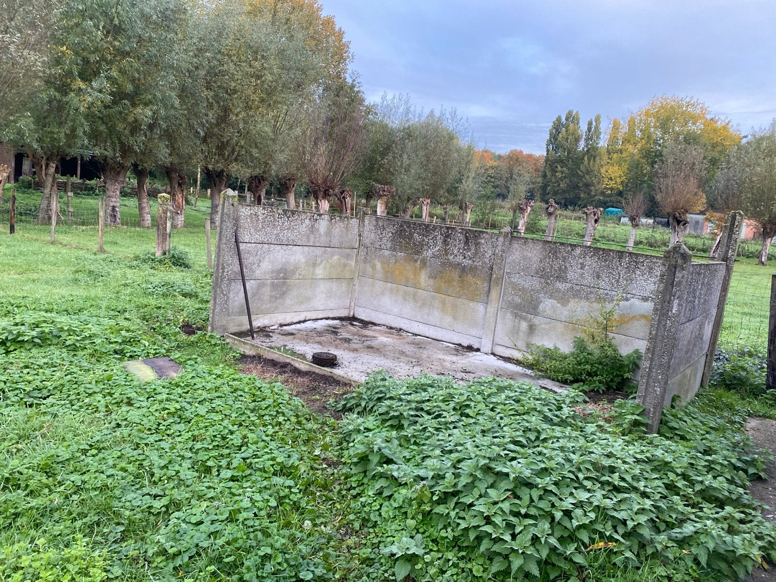Betonplaten gratis