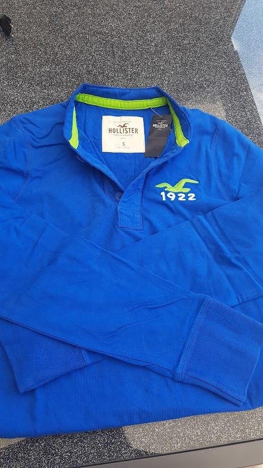 Hollister herenpolo. Nieuw. Nog nooit gedragen, Blauw, Nieuw, Ophalen of Verzenden, Hollister