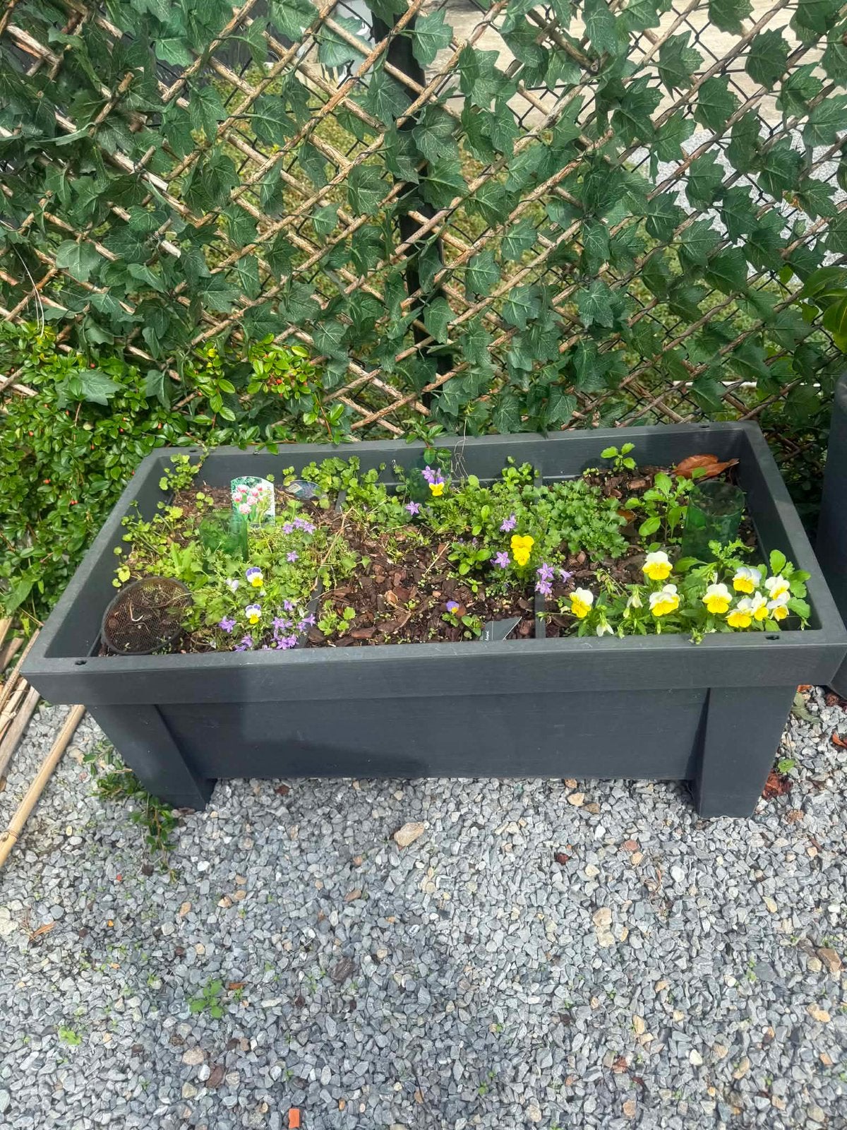 Bak met planten, Tuin en Terras, Ophalen, Zo goed als nieuw