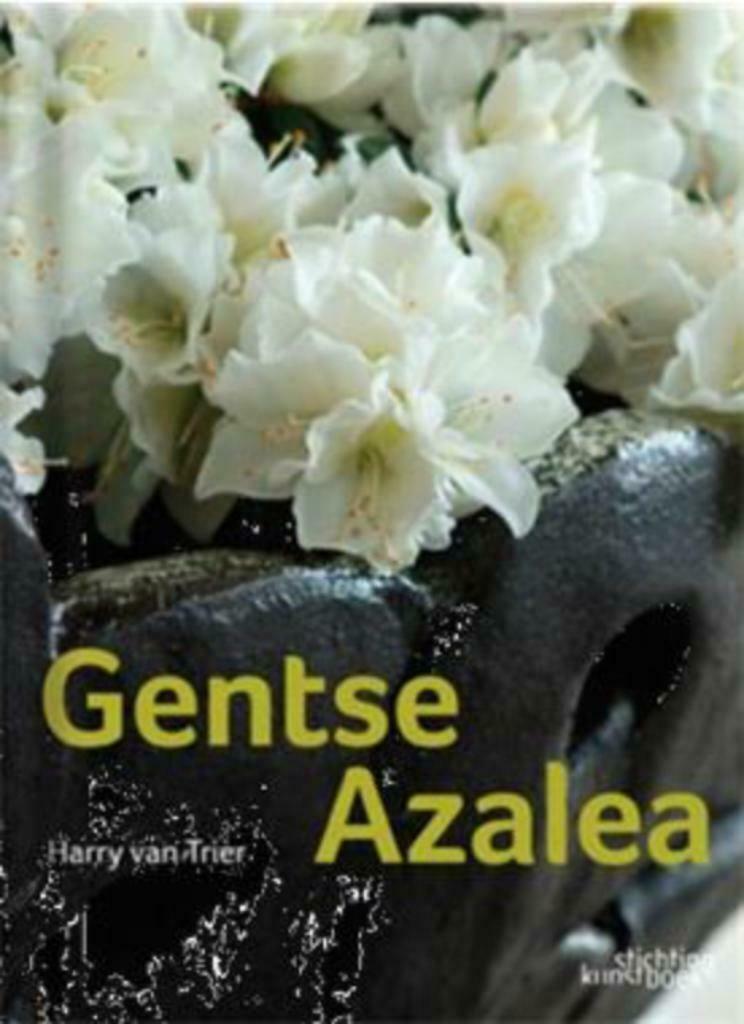 Gentse Azalea, Ophalen of Verzenden, Gelezen, Bloemen, Planten en Bomen