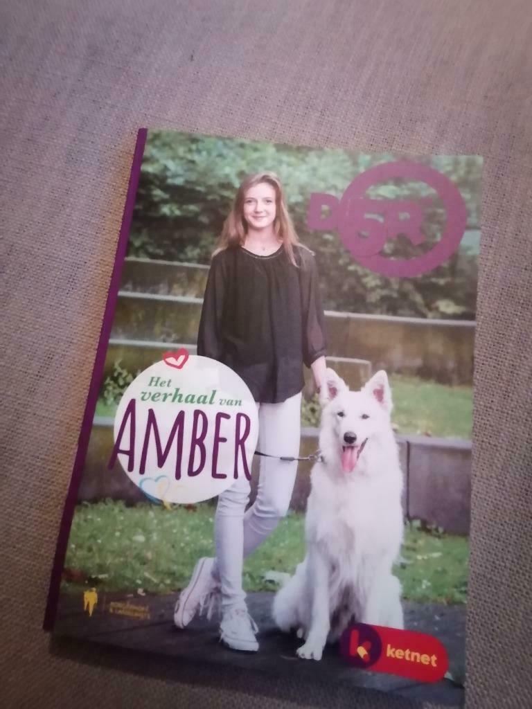 Boek D5R het verhaal van Amber, Boeken, Ophalen, Zo goed als nieuw, Fictie, Ketnet