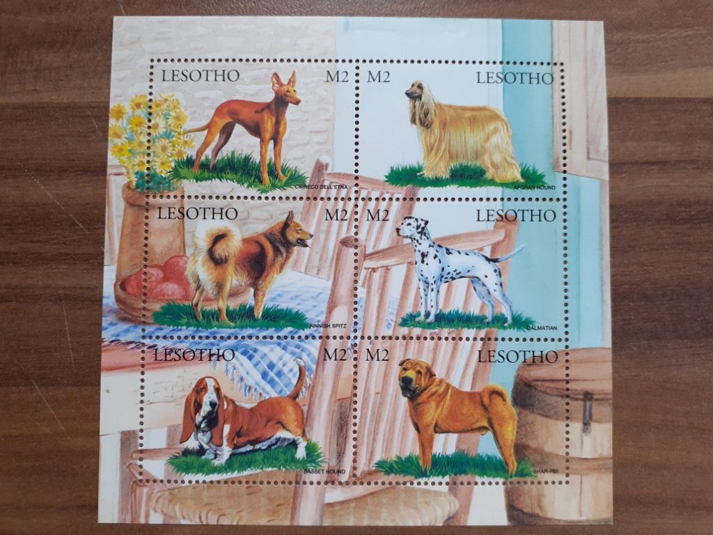 6 postzegels uit LESOTHO met windhonden honden, Ophalen of Verzenden, Postfris, Dier of Natuur