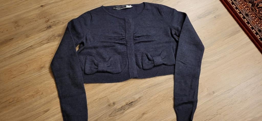 Vestje grijs, Sportmax code, Ophalen of Verzenden, Nieuw, Grijs