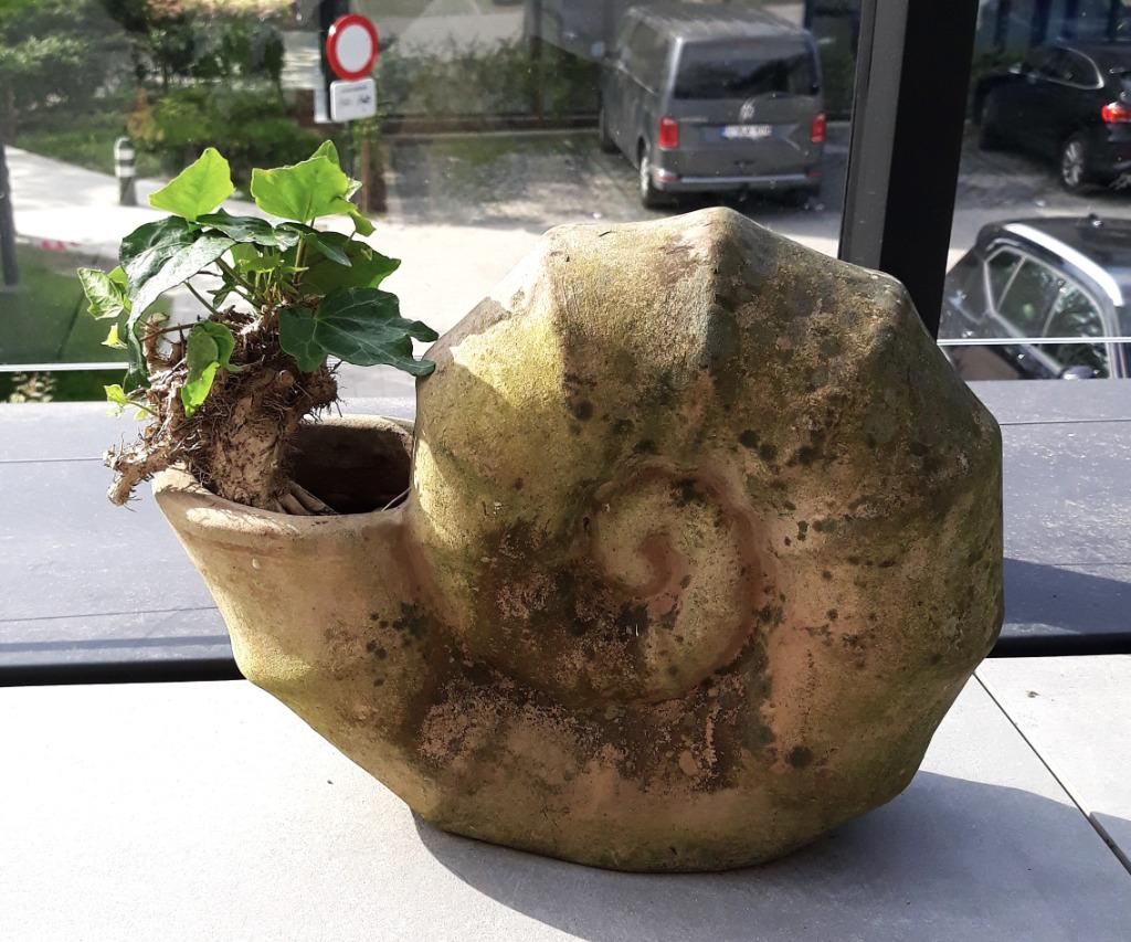 tuinornament slak 40 cm, Tuin en Terras, Ophalen, Zo goed als nieuw