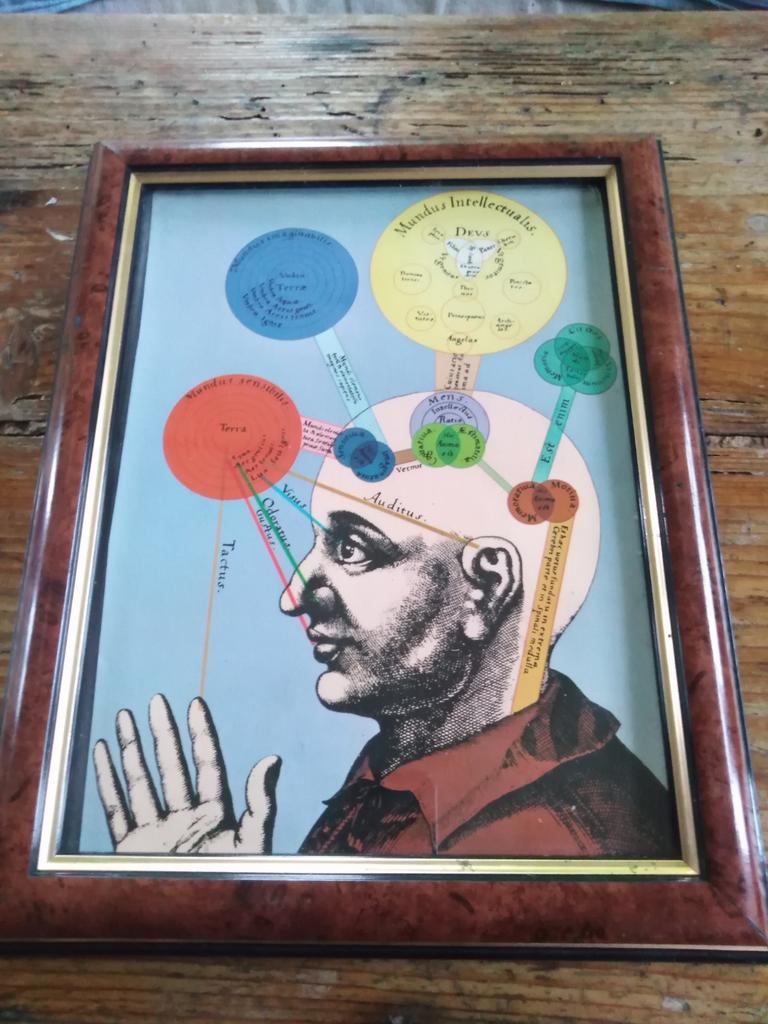 Jolie cadre ésotérisme, cabinet de curiosité, Envoi