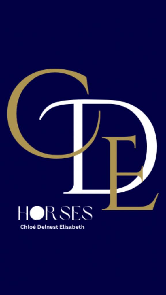 Privé stalling volpension/trainingpension, Weidegang, 4 paarden of pony's of meer