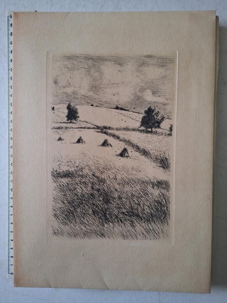 Emile Verhaeren Les blés mouvants 34 etsen Paul Baudier, Antiek en Kunst, Ophalen of Verzenden