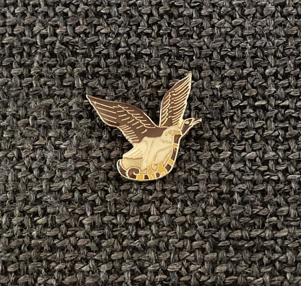 PIN - ROOFVOGEL - BIRD OF PREY - VOGEL - OISEAU DE PROIE, Envoi, Utilisé, Animal et Nature, Insigne ou Pin's