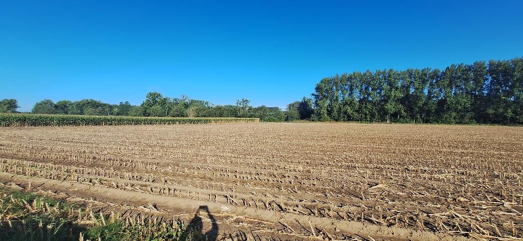 TERRAIN AGRICOLE SITUÉ À VIANE, Immo, Terrains & Terrains à bâtir, 1500 m² ou plus