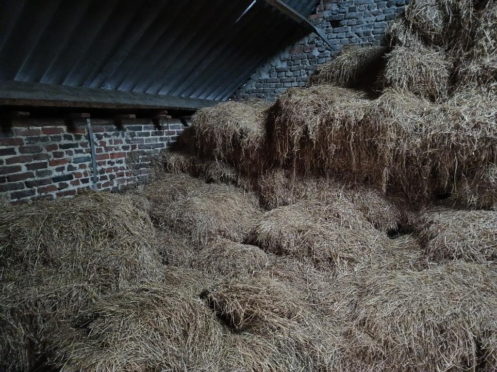 Gratis : Zeer oud hooi, Ophalen