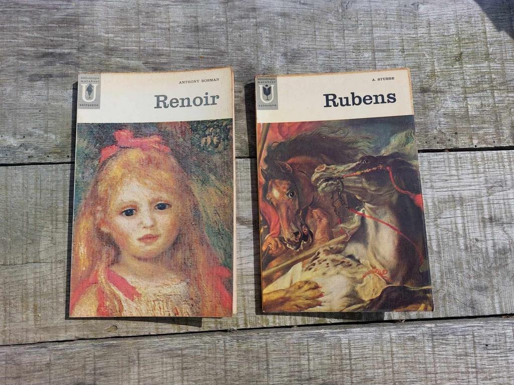 Renoir de À. Bosman et Rubens de À. Stubbe, Boeken, Ophalen, Gelezen