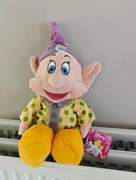 Nieuwe beren disney - 18 euro per stuk, Ophalen of Verzenden