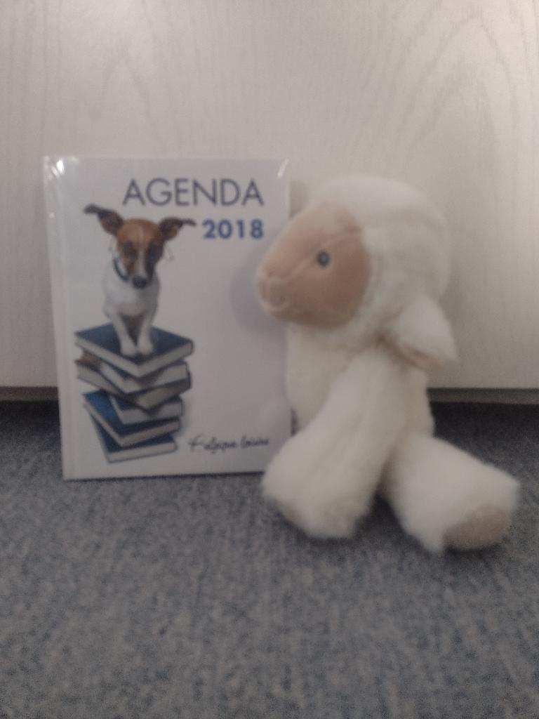 Agenda Chien 2018, Divers, Agendas, Neuf, Enlèvement ou Envoi