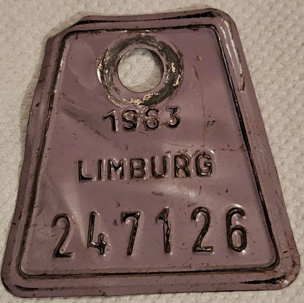 Fietstaksplaat Limburg 1963 n 247126
C'est pour nous, Enlèvement ou Envoi