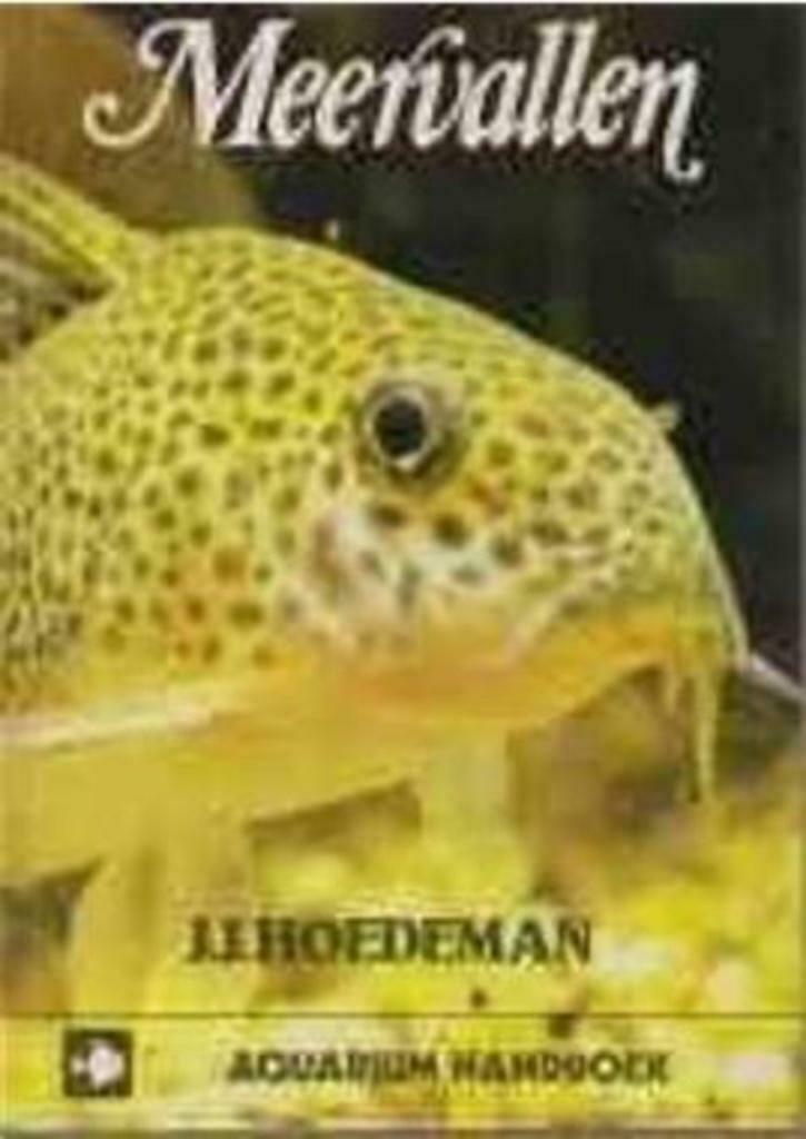 Meervallen, J.J.Hoedeman, Enlèvement ou Envoi, Utilisé, Poissons