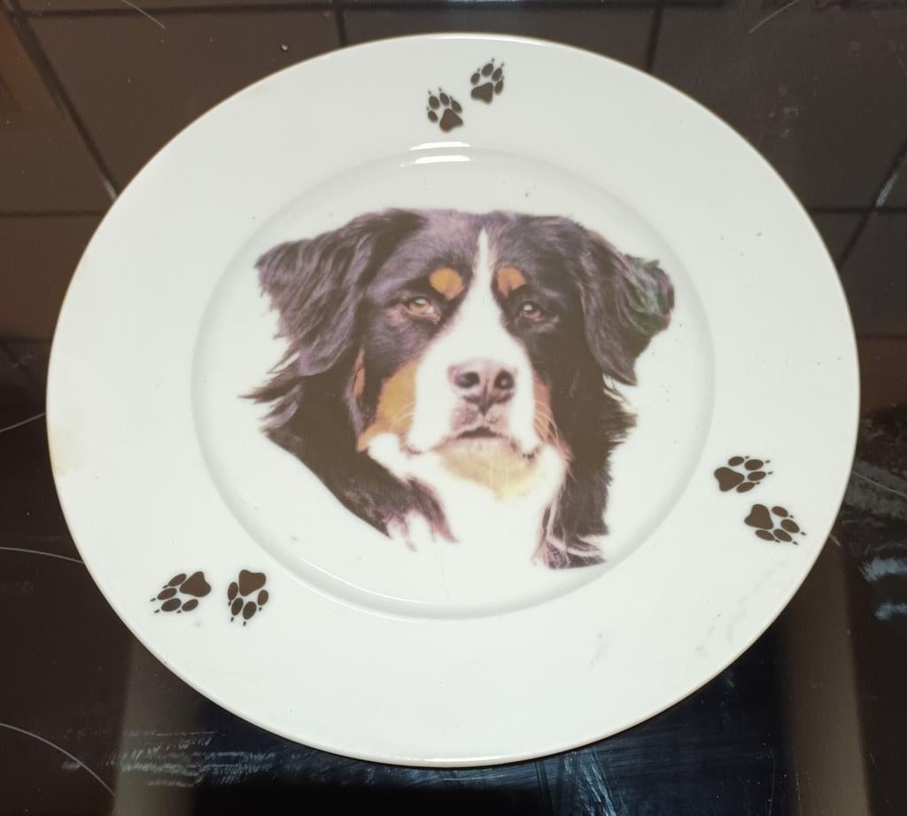 Sierbord Berner Sennen, Ophalen of Verzenden, Zo goed als nieuw
