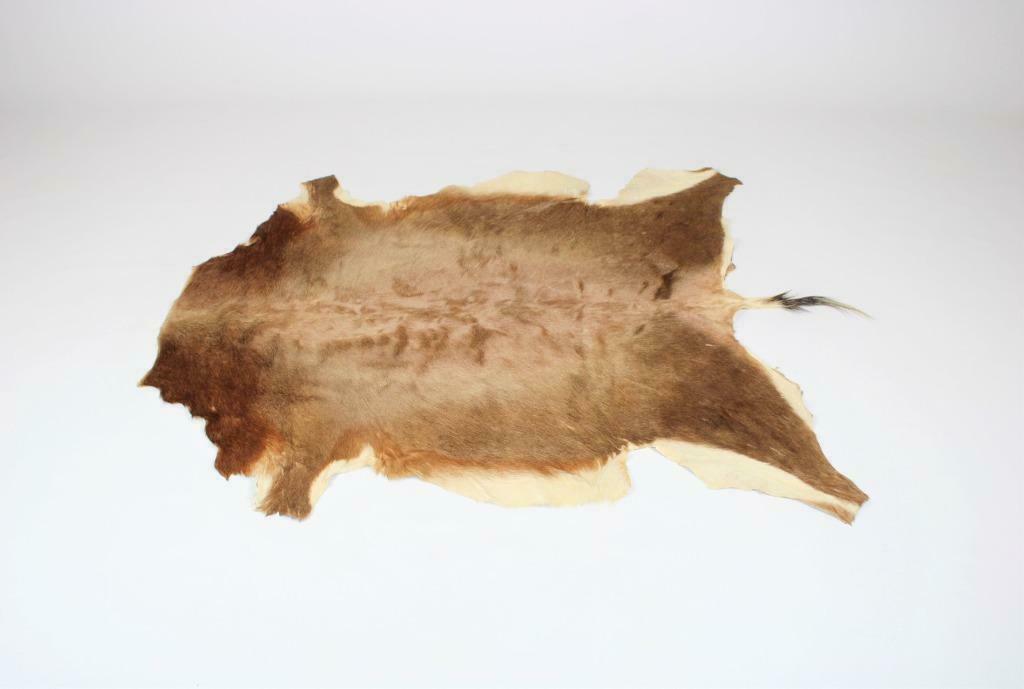 fourrure animale comme tapis, Enlèvement ou Envoi