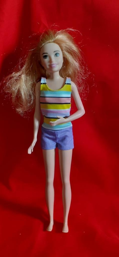 Poupée skipper Mattel 2010 (7), Enlèvement ou Envoi, Utilisé