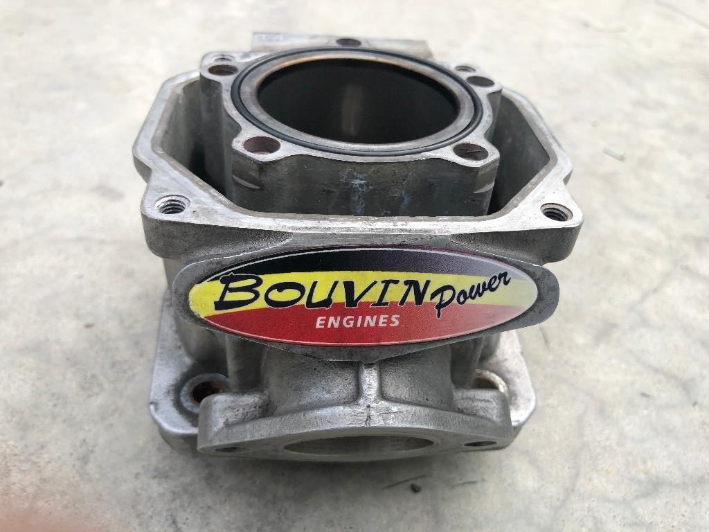 rotax evo max cyl., Sport en Fitness, Karting, Ophalen of Verzenden, Zo goed als nieuw, Kart