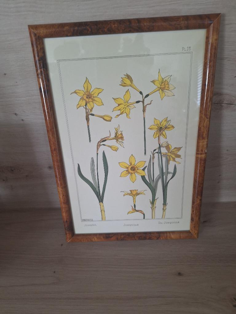 Cadre printanier, Enlèvement ou Envoi, Utilisé, Moins de 50 cm, Moins de 50 cm