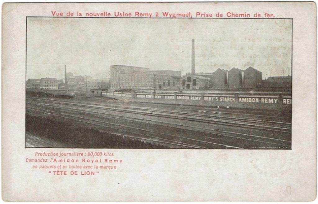 Oude postkaart Wijgmaal Usine Remy, Verzenden, Ongelopen, Vlaams-Brabant