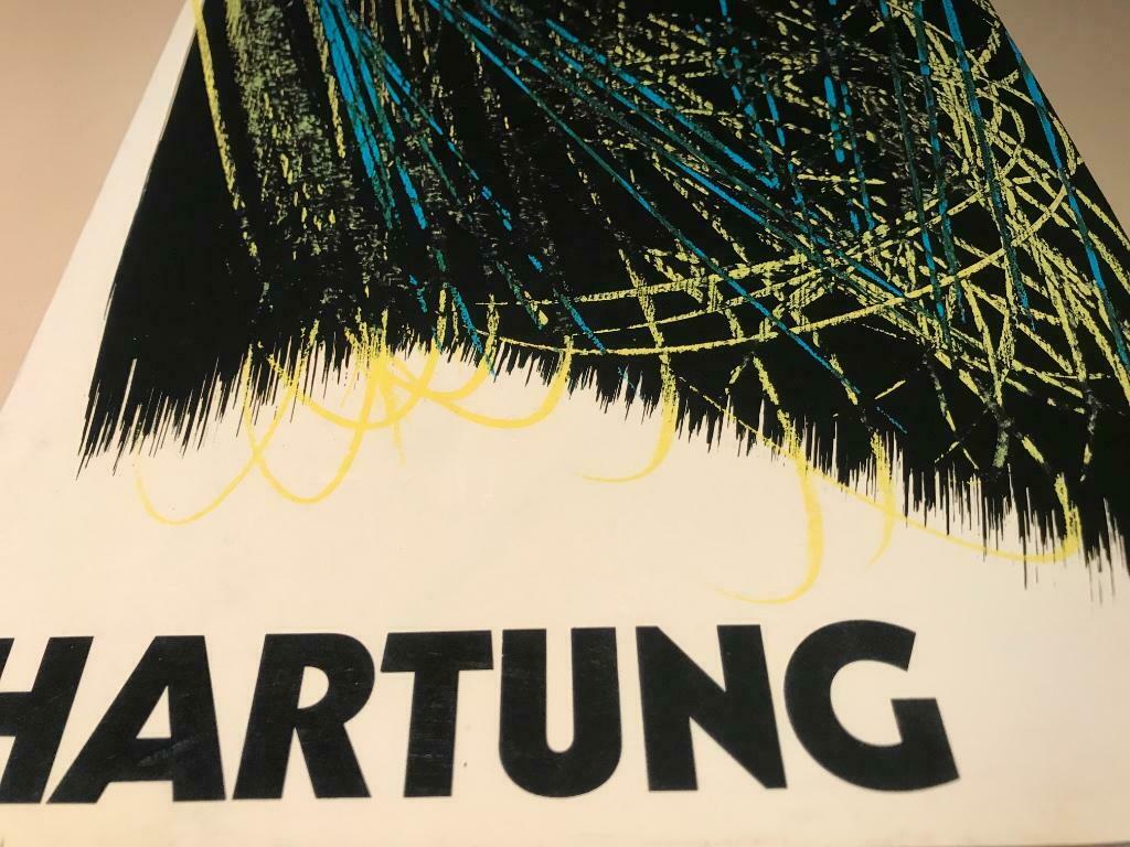 Hans Hartung peintures aquarelles dessins 375pag, Ophalen of Verzenden, Zo goed als nieuw, Schilder- en Tekenkunst