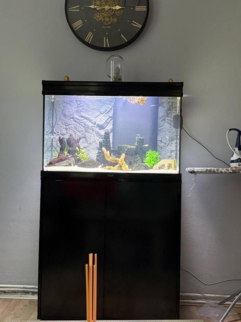 Aquarium, Enlèvement, Comme neuf