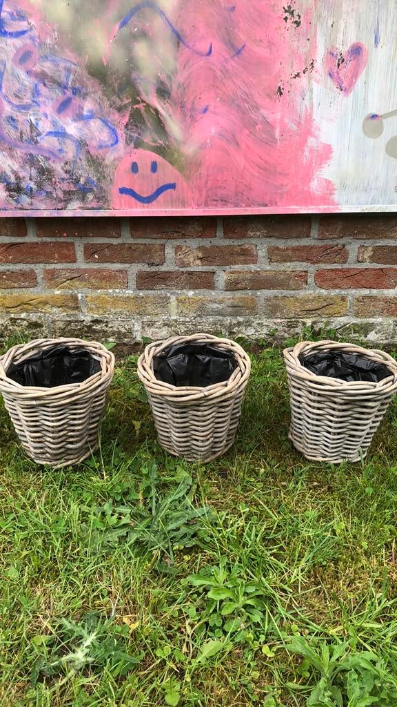 Rieten bloemmandjes, Ophalen, Gebruikt, Overige materialen, Minder dan 25 cm