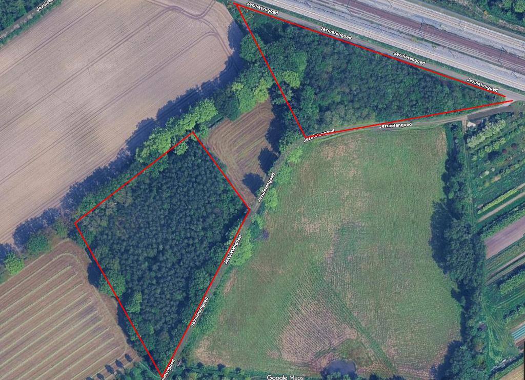 bos 1.78 ha - Beuk, eik, berk, Immo, Gronden en Bouwgronden, Aalter, Verkoop zonder makelaar, 1500 m² of meer