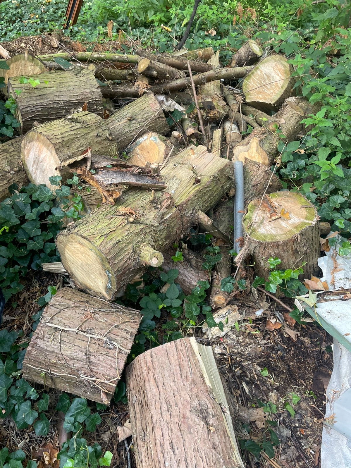 Gratis brandhout VANDAAG 6/9 afhalen, Tuin en Terras, Brandhout, Minder dan 3 m³, Ophalen, Overige houtsoorten, Blokken