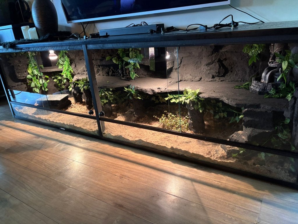Woestijnterrarium 250x70x70, Enlèvement ou Envoi, Neuf, Terrarium ou Paludarium