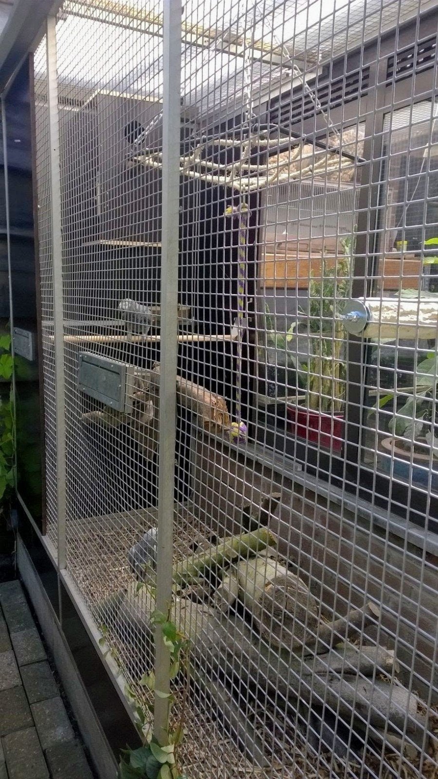 Grote muurvolière voor papegaaien of grote parkieten, Dieren en Toebehoren, Ophalen, Volière