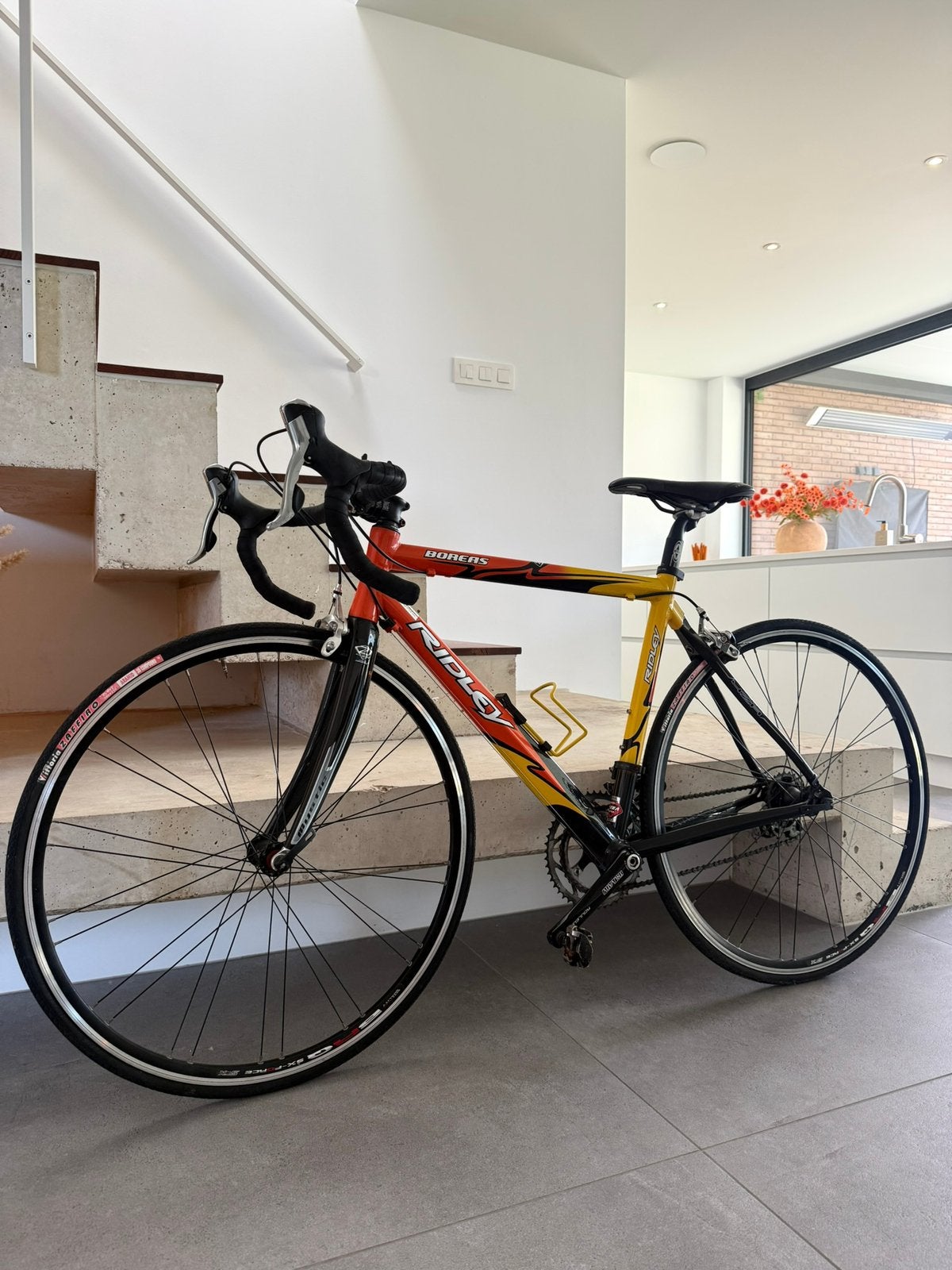 Ridley Boreas maat 50, Vélos & Vélomoteurs, Vélos | Vélos de course, Comme neuf, Femmes, Carbone, Enlèvement