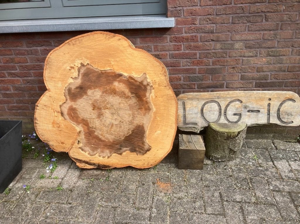 Boomstam schijven, Doe-het-zelf en Bouw, Hout en Planken, Ophalen, Overige typen, Nieuw, 50 mm of meer