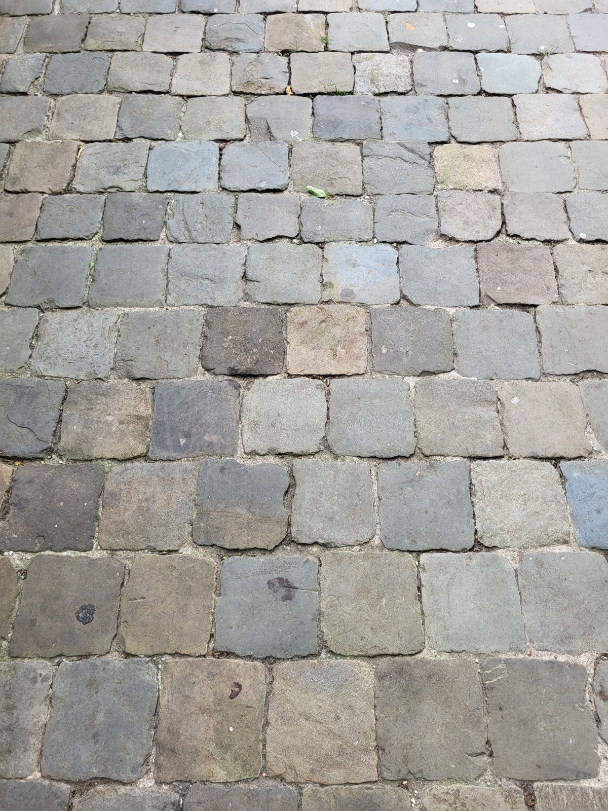 Mooie partij kasseien / platines (minimum 770 stuks-20m²), Tuin en Terras, Ophalen