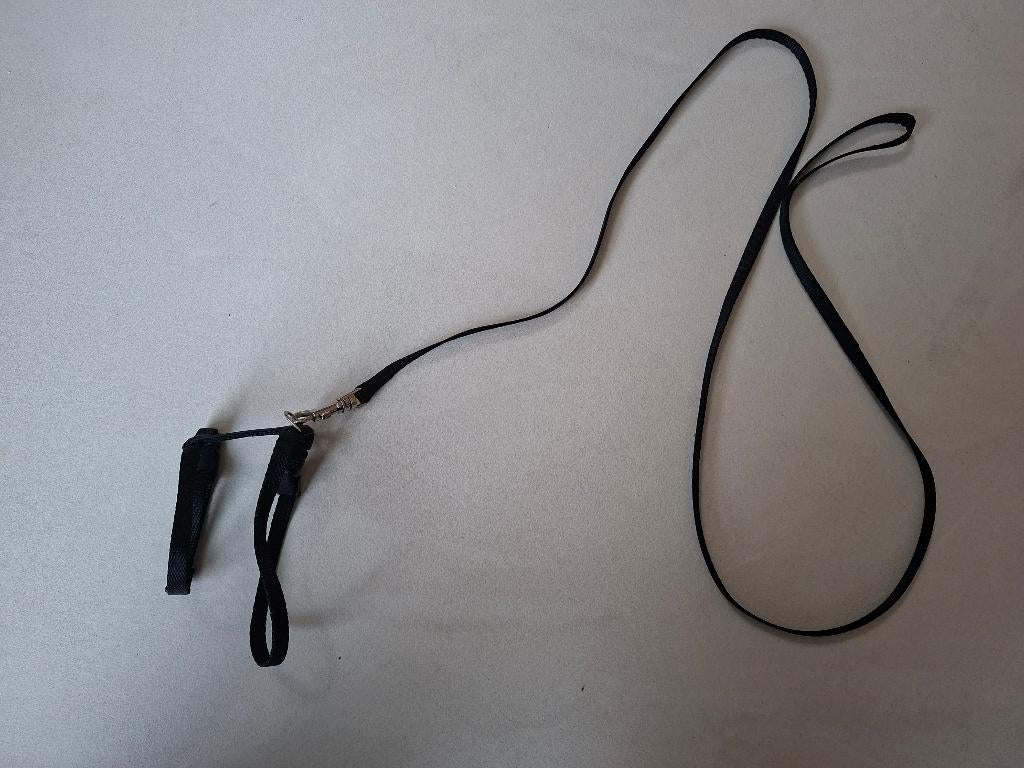 Poezen leiband, Enlèvement, Comme neuf