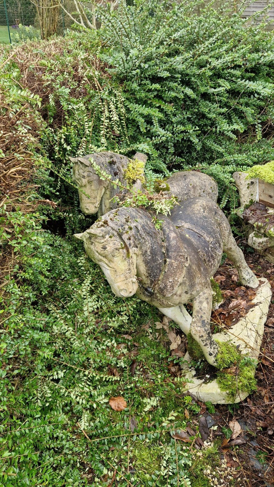 2 paarden en kar gratis zelf op te halen, Ophalen